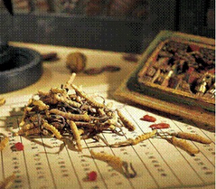 治疗牛皮癣的偏方